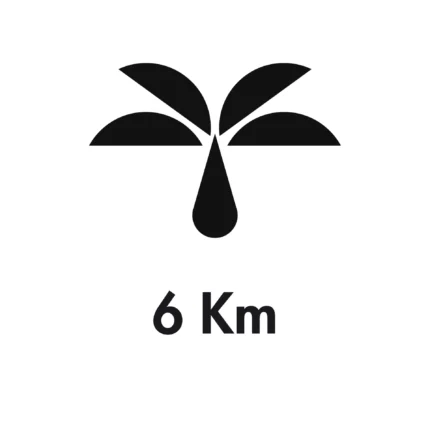GOTRAIL Todasana 6 Km